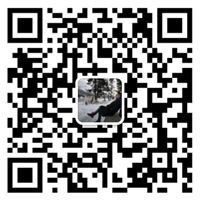 开云网页版